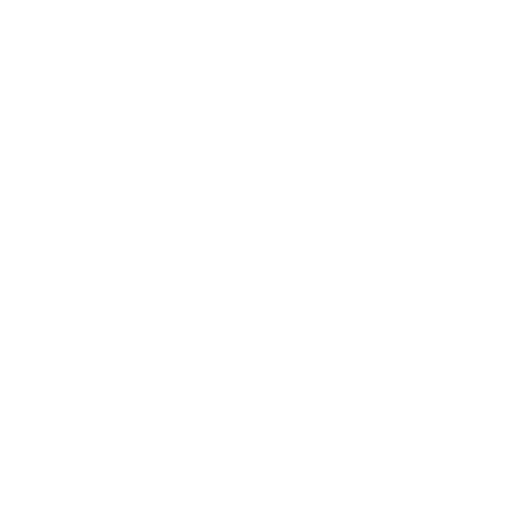 icone-paiement-securise-badawin-blanc